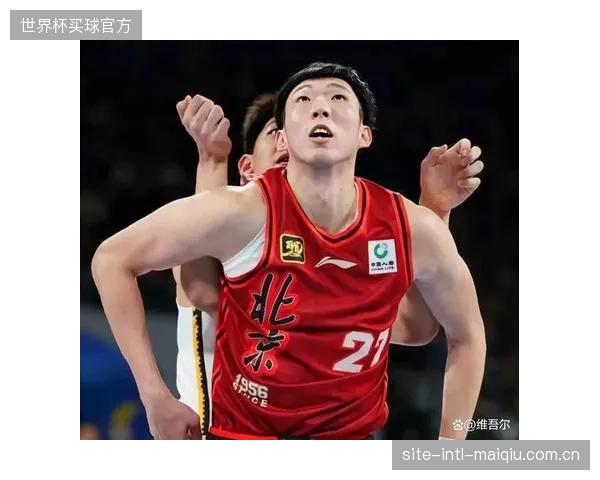 CBA球队呈现差异化引援策略，争冠与重建思路泾渭分明。